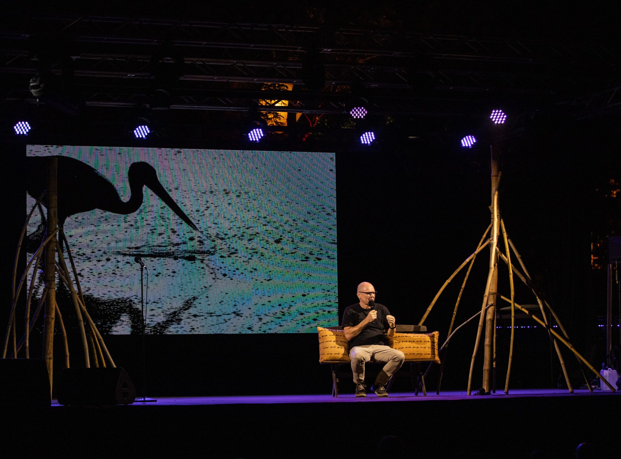 Photograph of a person sitting on stage on a seat with a bird being projected behind them. They are talking into the microphone.